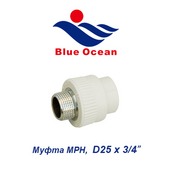 Полипропиленовые трубы и фитинги Муфта МРН Blue Ocean D25х3/4